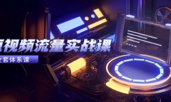 （14937期）短视频流量实战课，从平台选择到内容变现，爆款公式与投放技巧