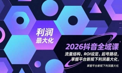 ��16984�ڣ�2026����ȫ��Σ������ṹ��ROI�趨�����·��������ƽ̨�¹����������