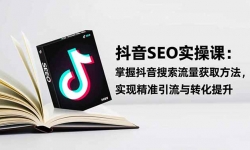 16514ڣSEOʵսΣնȡʵ־׼ת