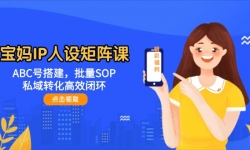（14821期）宝妈IP人设矩阵课：ABC号搭建，批量SOP，私域转化高效闭环