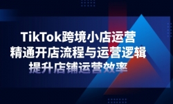 14369ڣTikTok羳СӪͨӪ߼ӪЧ