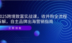 （14975期）2025跨境致富实战课，收并购全流程拆解，自主品牌出海营销指南