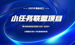 16521ڣСĿһ̨ÿֻ10ӣɼȶ