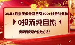 （14989期）25年6月拼多多最新日引300+付费创业粉，0投流纯自热 卖课月变现六位数方法