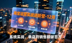 ��16974�ڣ��Ա���Ӫʵս����Ӫ-12�£�SEO����������̨���������ϣ�ϵͳʵս�����������۶��ư���