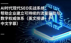 16760ڣAIʱִSEOʵսϵͳҵɳȡȨϵӢڿ+Ļ