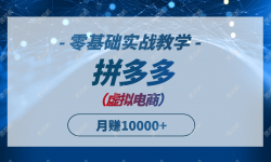 （14880期）拼多多虚拟电商，零基础实战教学，快速打爆商品，新手也能月入10000+