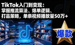 16367ڣTikTokŵ֣㷨߼ƷԣƵ50w