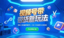 15296ڣƵŴ淨ƵСһҲܼ100Ƶ
