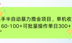 （15009期）快手半自动暴力撸金项目，单机收益60-100+可批量操作单日300+