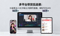 16254ڣƽ̨ʵս18.0㷨/Сʼ/Ƶֱ˺GMV50w+