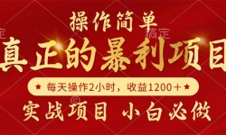 （14978期）真正的暴利项目，操作简单，每天收益1200＋，自己做老板
