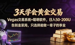 ��18044�ڣ�3��ѧ��ƽ��ף�Vegas���׼���+������������׬50-100U