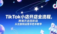 15285ڣTikTokС꿪ọ̈̄羳Ľ׶ΣעᵽӪְֽѧ