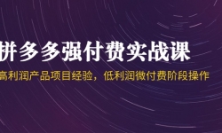 （14874期）拼多多强付费实战课-44期，高利润产品项目经验，低利润微付费阶段操作