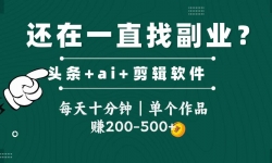 （14844期）头条全新玩发加持软件搬视频，每天十分钟，单个作品收入200-500左右