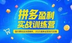 15183ڣƴӯʵսѵӪǿ淨Ƚ2025Ӫɺϼ-6