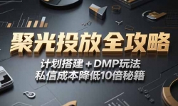 15254ڣ2025С۹Ͷȫԣƻ+DMP淨˽ųɱ10ؼ