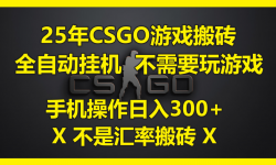 （14902期）25年CSGO游戏搬砖，全自动挂机，不需要玩游戏，手机操作日入300+。(不...