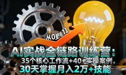 16219ڣAIʵսȫ·ѵӪ35Ĺ+40+ʵٰ302+