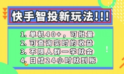 （14372期）快手智投新玩法，单机日入40+，可批量，可查询实时收益，收益日结24小...