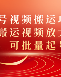 7336ڣټҺƵĿͨƵŴ棬