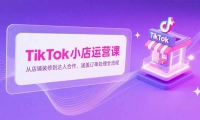 15290ڣTikTokСӪΣӵװ޵˺Ƕȫ