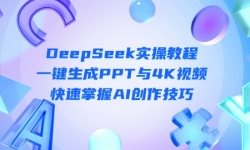 14300ڣDeepSeekʵٽ̳̣һPPT4KƵAI