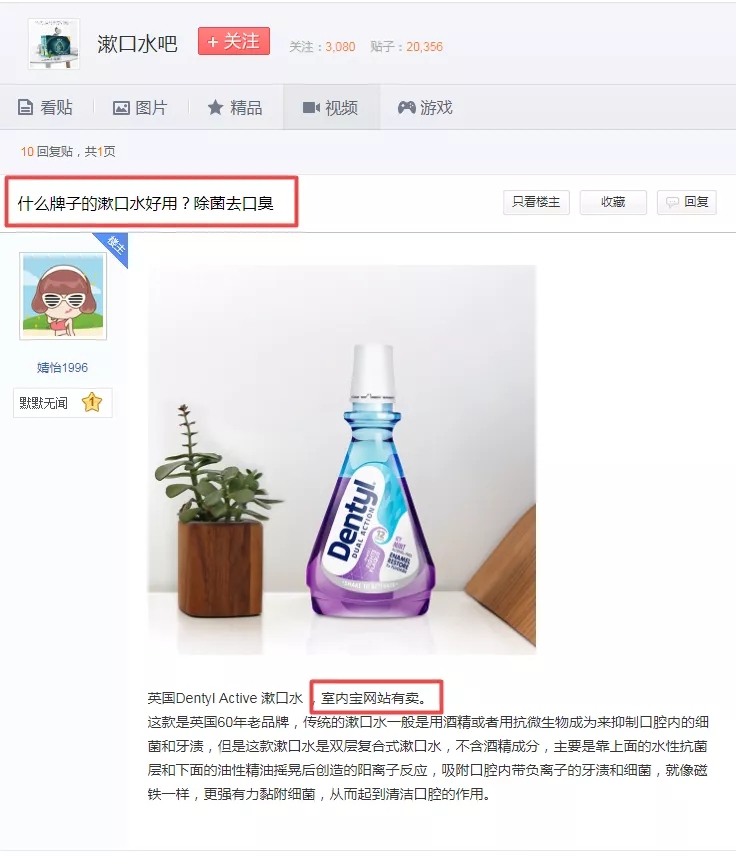 13.webp.jpg