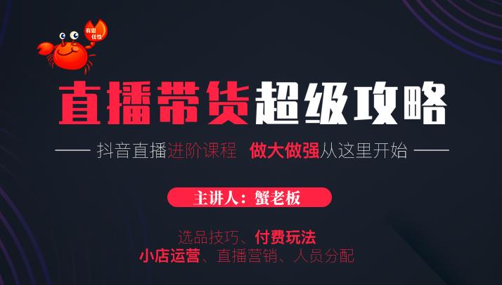 【勇锶1994期】抖音直播带货超级攻略：抖音直播带货的详细玩法，小店运营、付费投放等-勇锶商机网