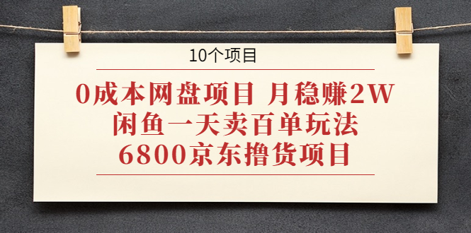 0成本网盘项目 月稳赚2W+闲鱼一天卖百单玩法+6800京东撸货项目 (10个项目)