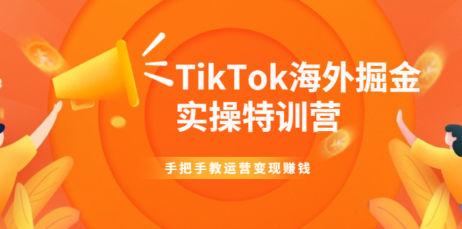 TikTok海外掘金实操特训营：手把手教运营变现赚钱【视频课程】