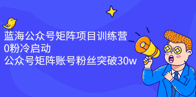 蓝海公众号矩阵项目训练营，0粉冷启动，公众号矩阵账号粉丝突破30w