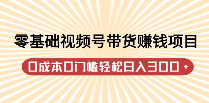 零基础视频号带货赚钱项目，0成本0门槛轻松日入300+