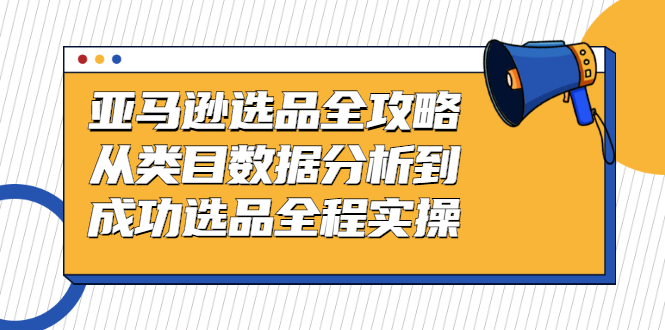 亚马逊选品全攻略：从类目数据分析到成功选品全程实操