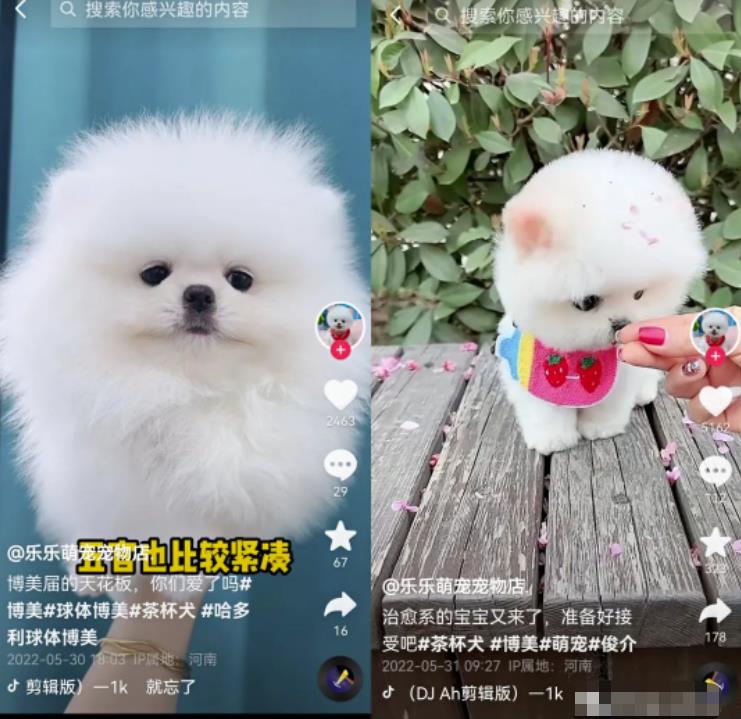 无脑短视频搬砖赚钱思路,轻松月入1W+,在家即可躺赚!-福缘论坛-福缘网赚 无脑短视频搬砖赚钱思路,轻松月入1W+,在家即可躺赚!