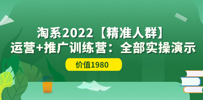 淘系2022【精准人群】运营+推广训练营：全部实操演示（价值1980）