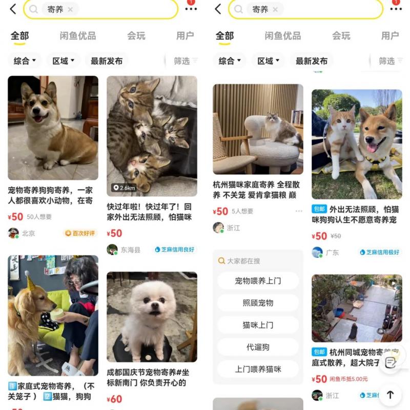 低成本宠物项目思路,单天300-500副业收入,适合所有人放大操作!-福缘论坛-福缘网赚 低成本宠物项目思路,单天300-500副业收入,适合所有人放大操作!