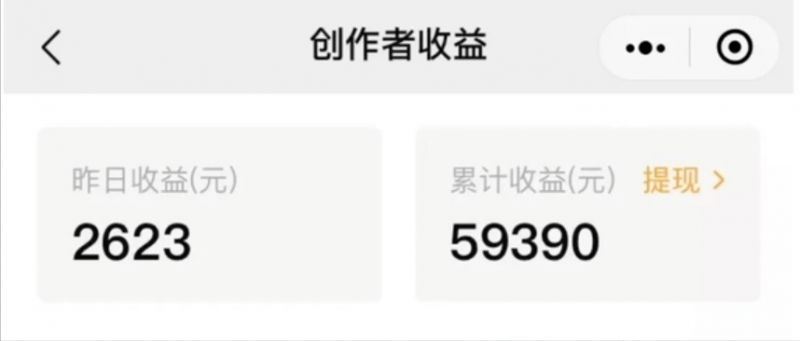 无门槛人人可做副业项目，视频搬砖收益，实测一天2000+！-CL网