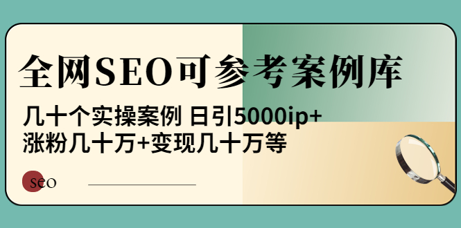 《全网SEO可参考案例库》几十个实操案例 日引5000ip+涨粉百W+变现几十W等