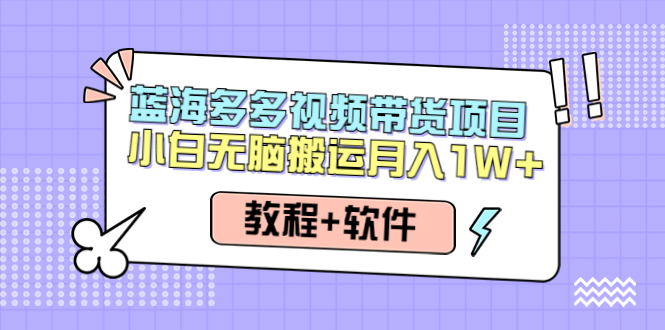 人人都能操作的蓝海多多视频带货项目 小白无脑搬运月入10000+（教程+软件）