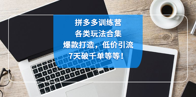 拼多多训练营：各玩法合集，爆款打造，低价引流，7天破千单等等！-微众资源
