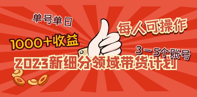 2023新细分领域带货计划：单号单日1000+收益不难，每人可3-5个账号