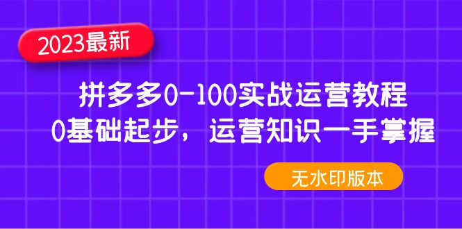 2023拼多多0-100实战运营教程，0基础起步，运营知识一手掌握