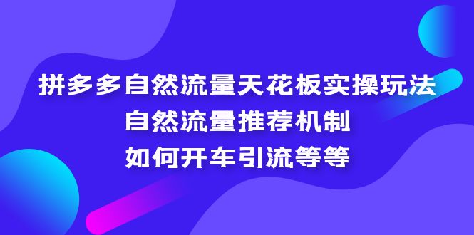 57拼多多自然流量天花板实操玩法：自然流量推荐机制，如何开车引流等等