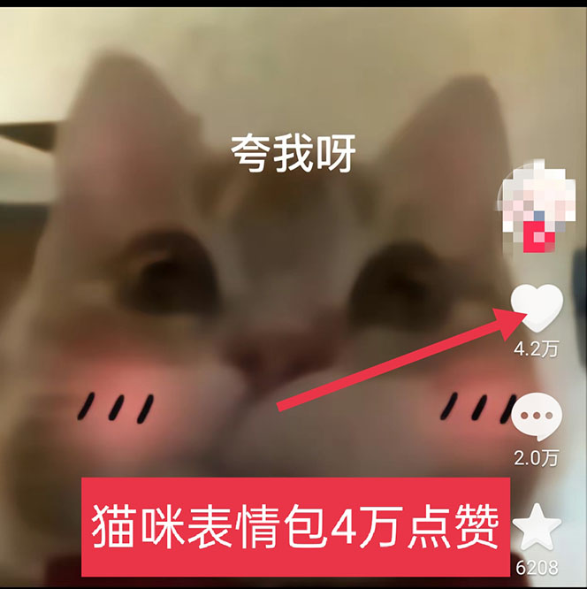 图片[3]-黑科技纯原创可爱猫咪图片，全网精准引流，实操5个VX号被加频繁-万福论坛