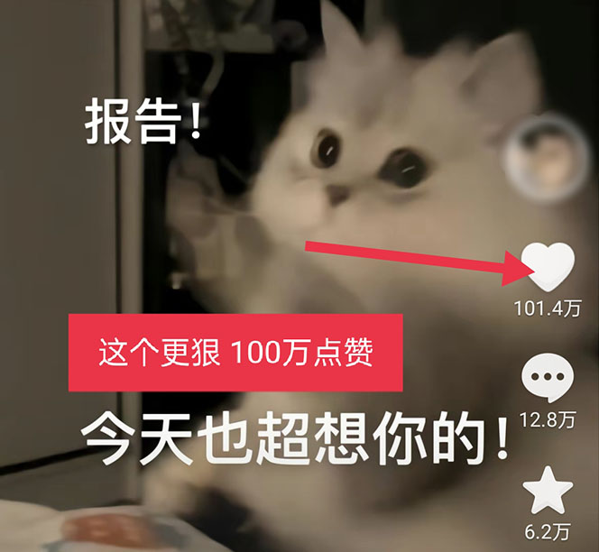 图片[4]-黑科技纯原创可爱猫咪图片，全网精准引流，实操5个VX号被加频繁-万福论坛