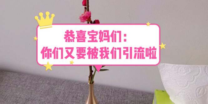 300恭喜宝妈们：你们又要被我们引流了（教程+222g资料）