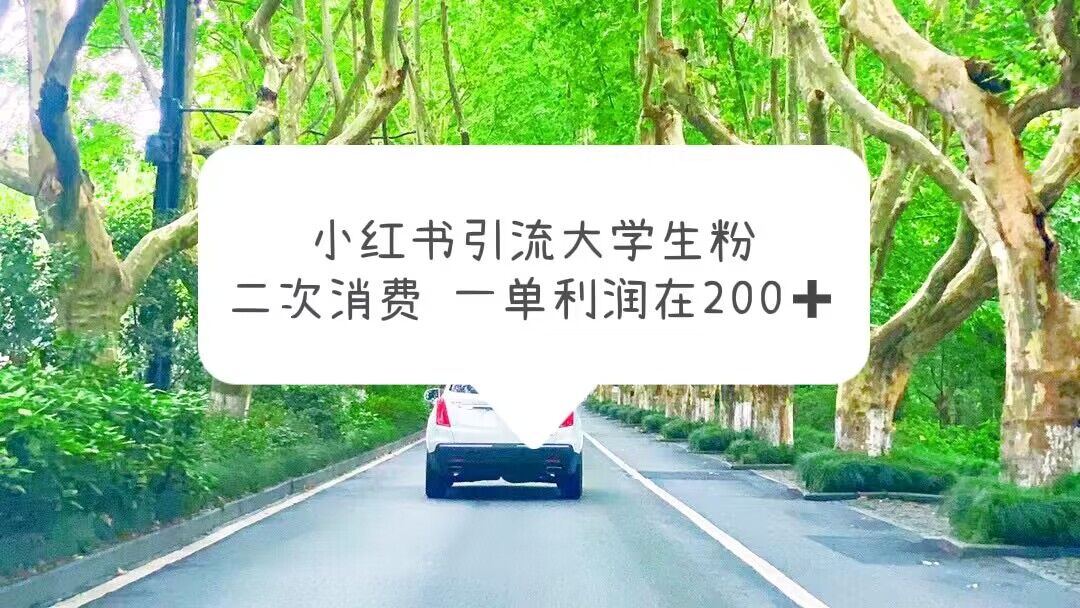 323小红书引流大学生粉，变现项目，一单利润在200+（教程+资源