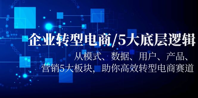 企业转型电商/5大底层逻辑，从模式 数据 用户 产品 营销5大板块，高效转型